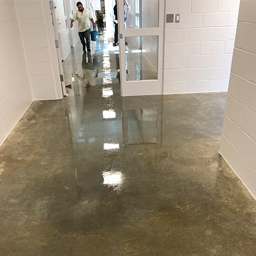 EMS Cleaning Services Floor and Interior Care Services Houston Texas